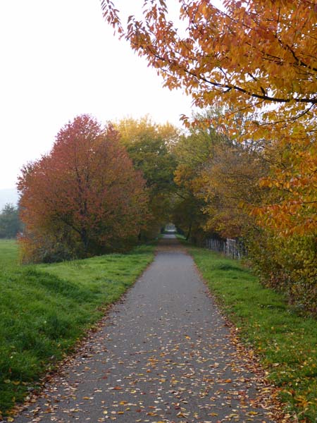 Sentheim-en-automne-13