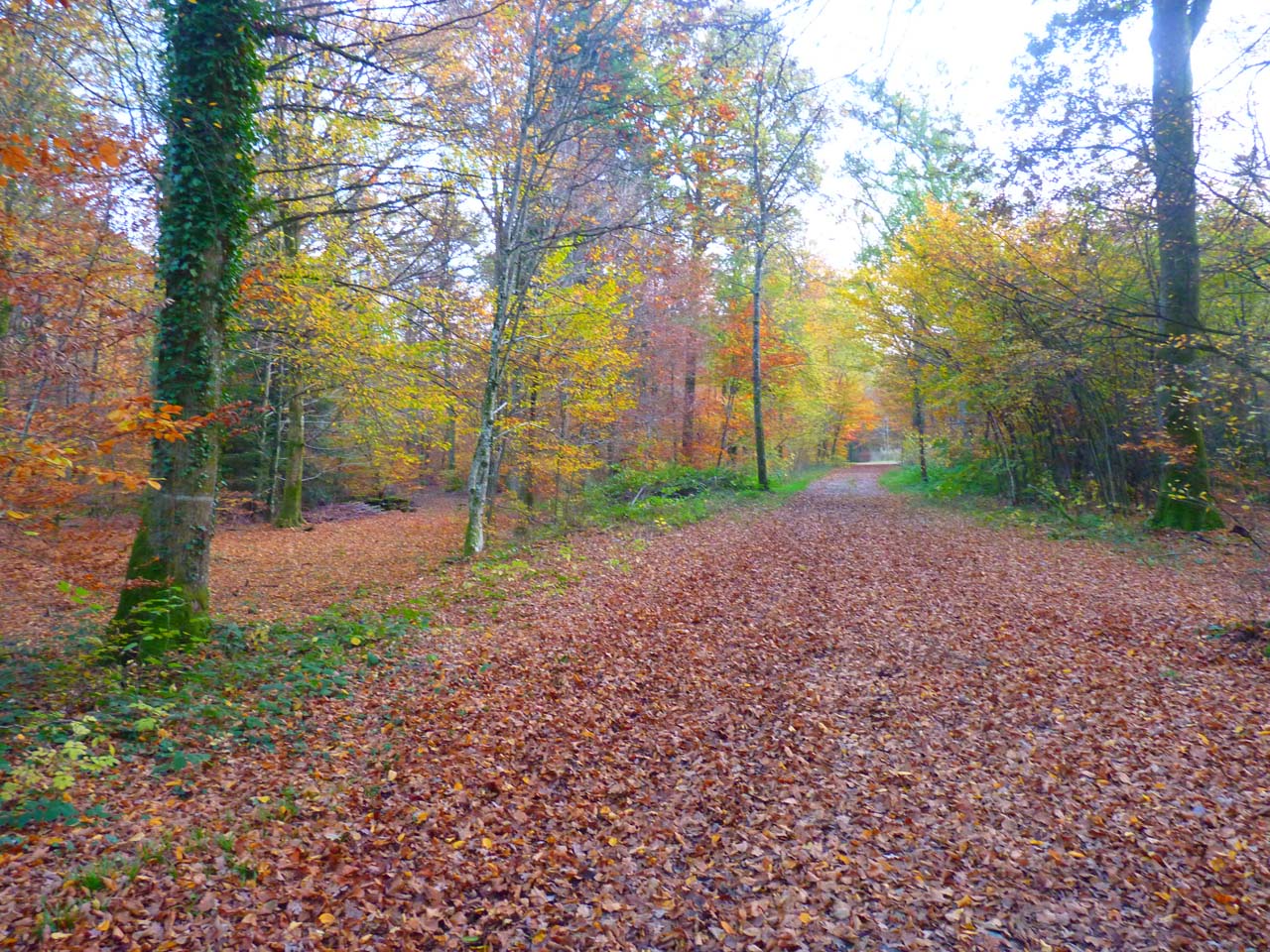 Sentheim-en-automne-9