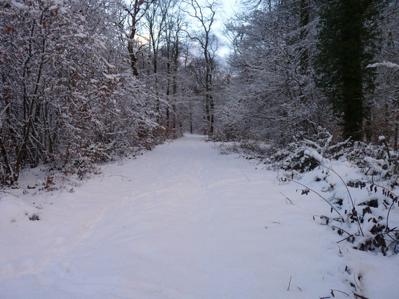 Sentheim-en-hiver-11