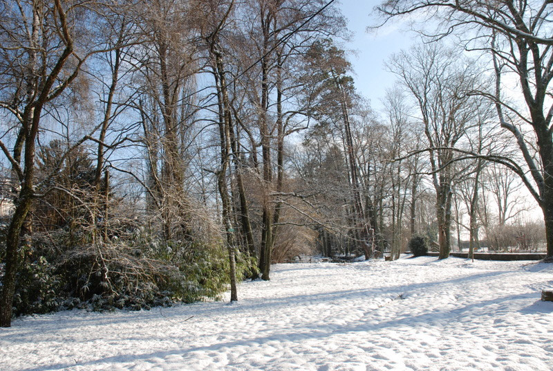Sentheim-en-hiver-4